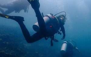 Dive trip photo of La Buga Dive&Surf